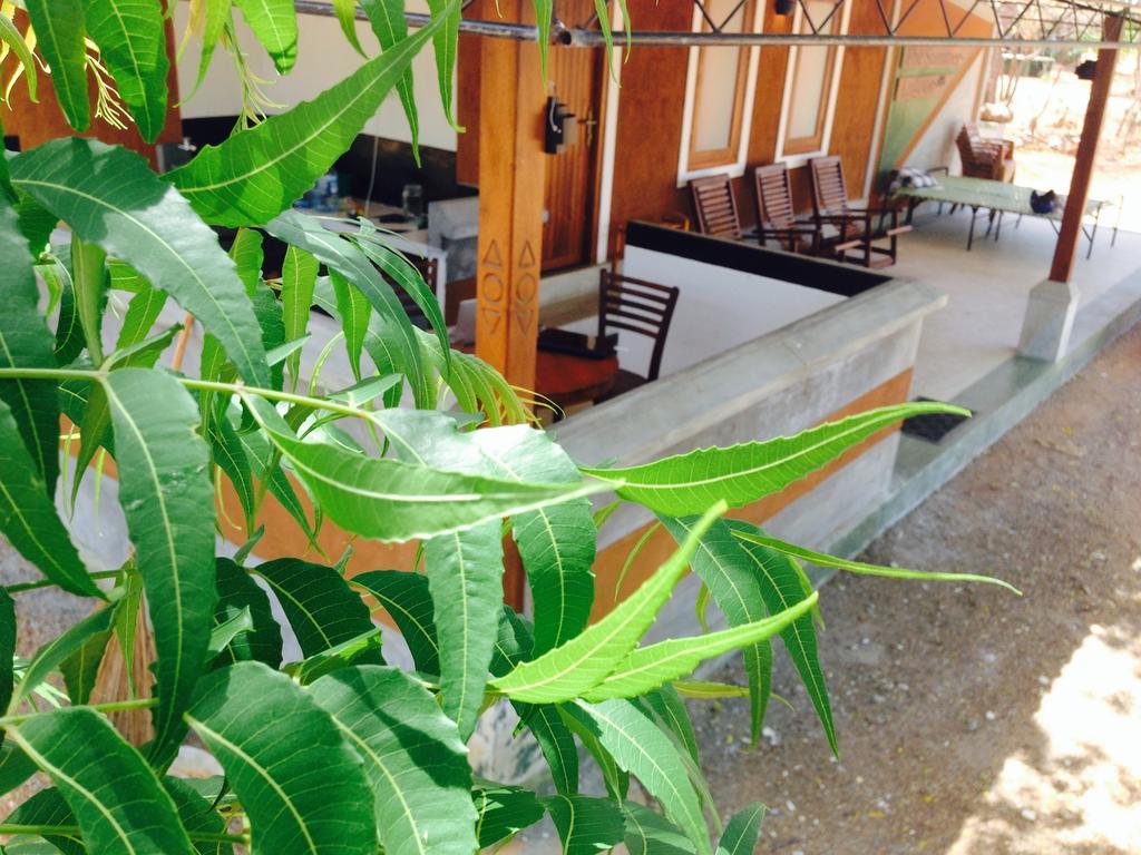 The Summer Corridor - Kataragama Ngoại thất bức ảnh