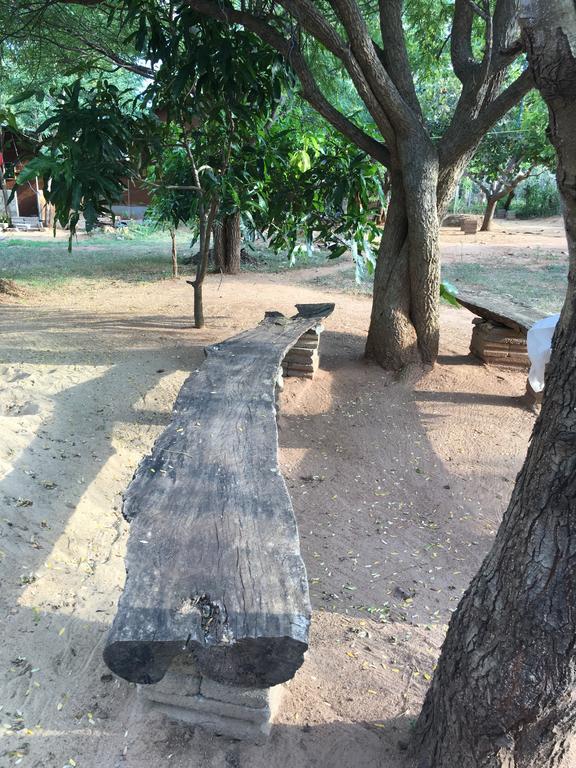 The Summer Corridor - Kataragama Ngoại thất bức ảnh