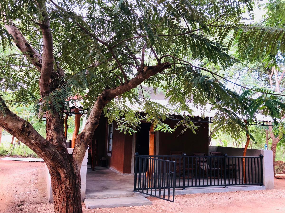 The Summer Corridor - Kataragama Ngoại thất bức ảnh