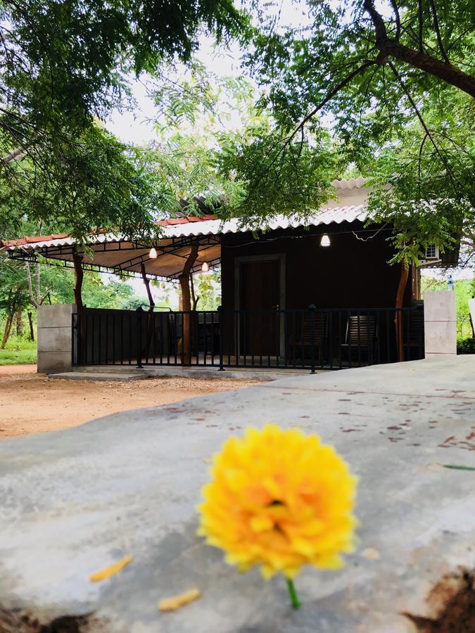 The Summer Corridor - Kataragama Ngoại thất bức ảnh
